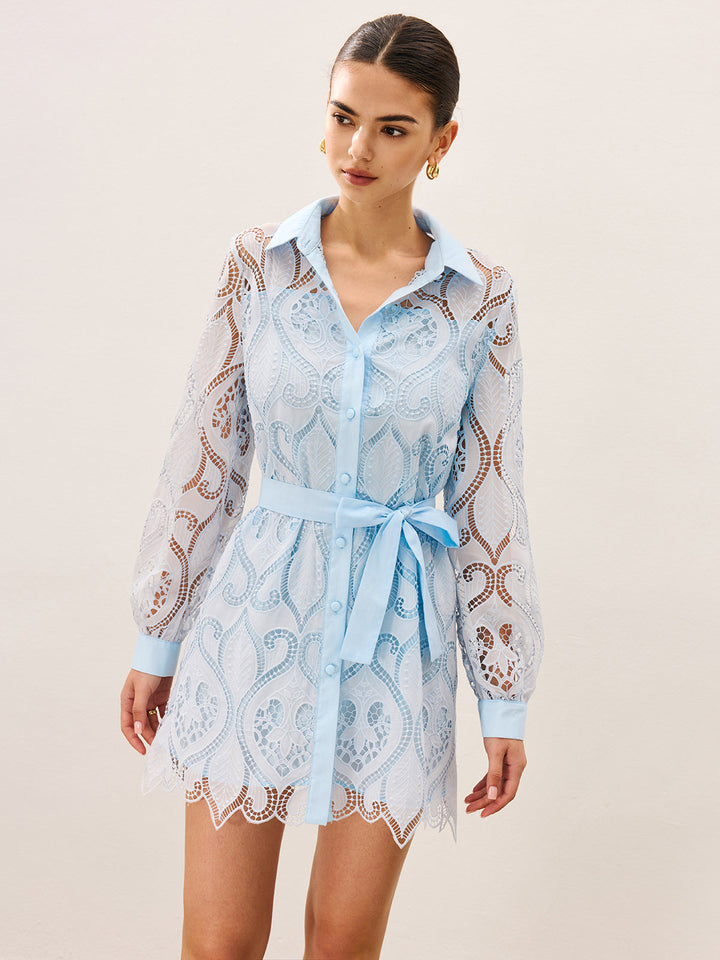 2 in 1 Sheer Lace Mini Dress