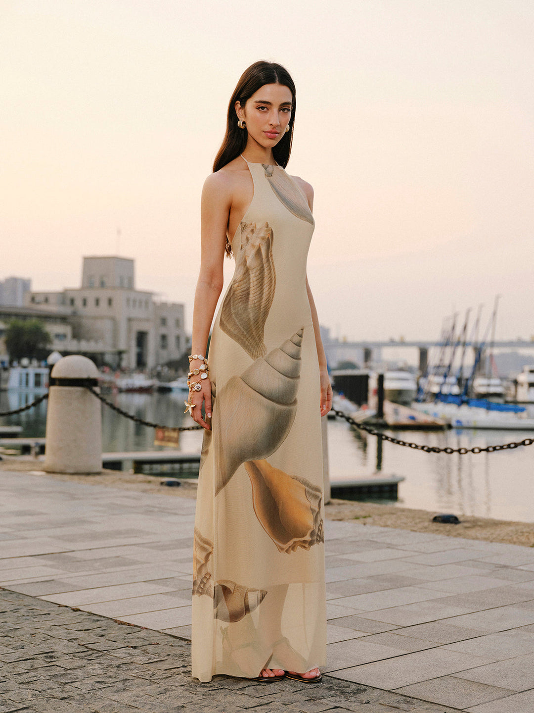 Mesh Halter Neck Backless Dress