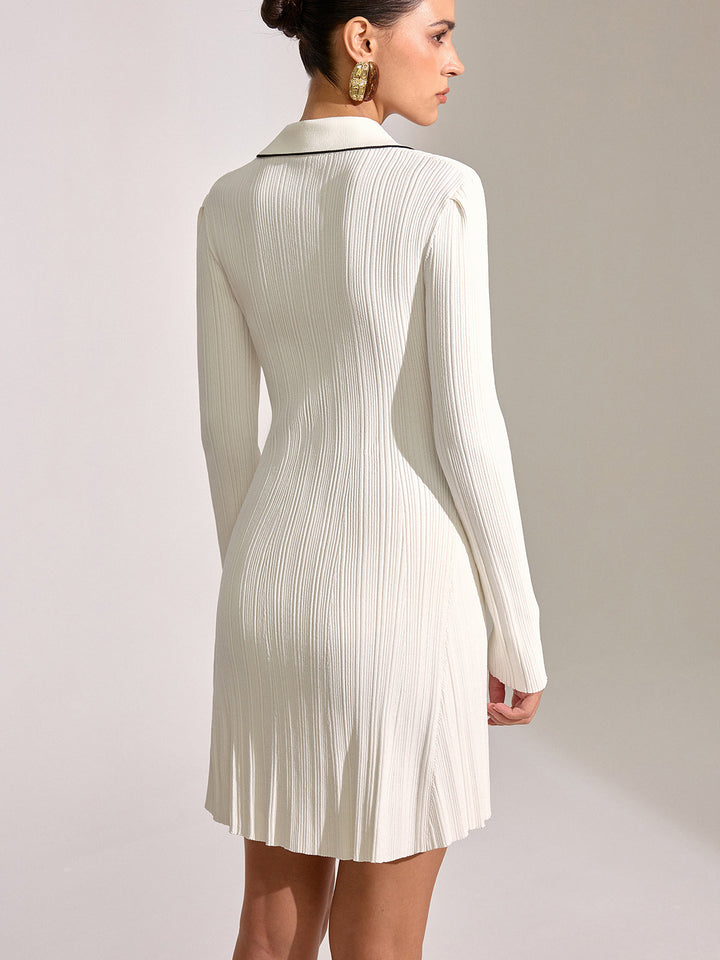 Contrast Trim Collar Long Sleeve Mini Dress