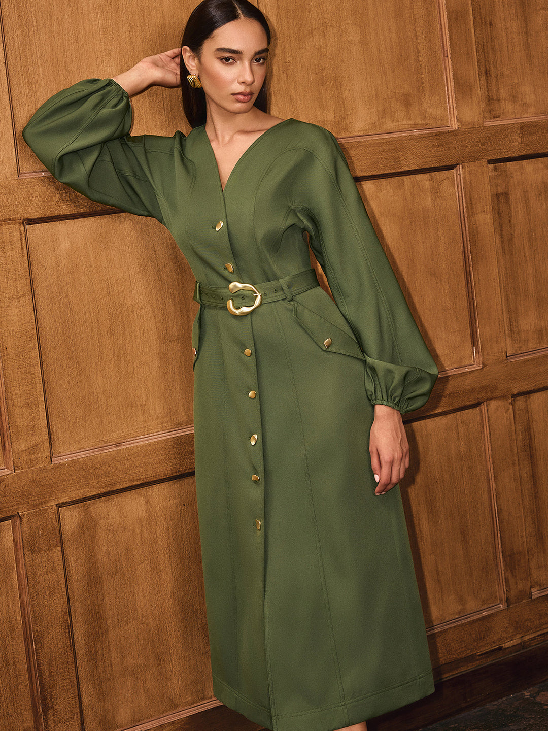 V-Neck Balloon Sleeve Belted Button-Front Dress