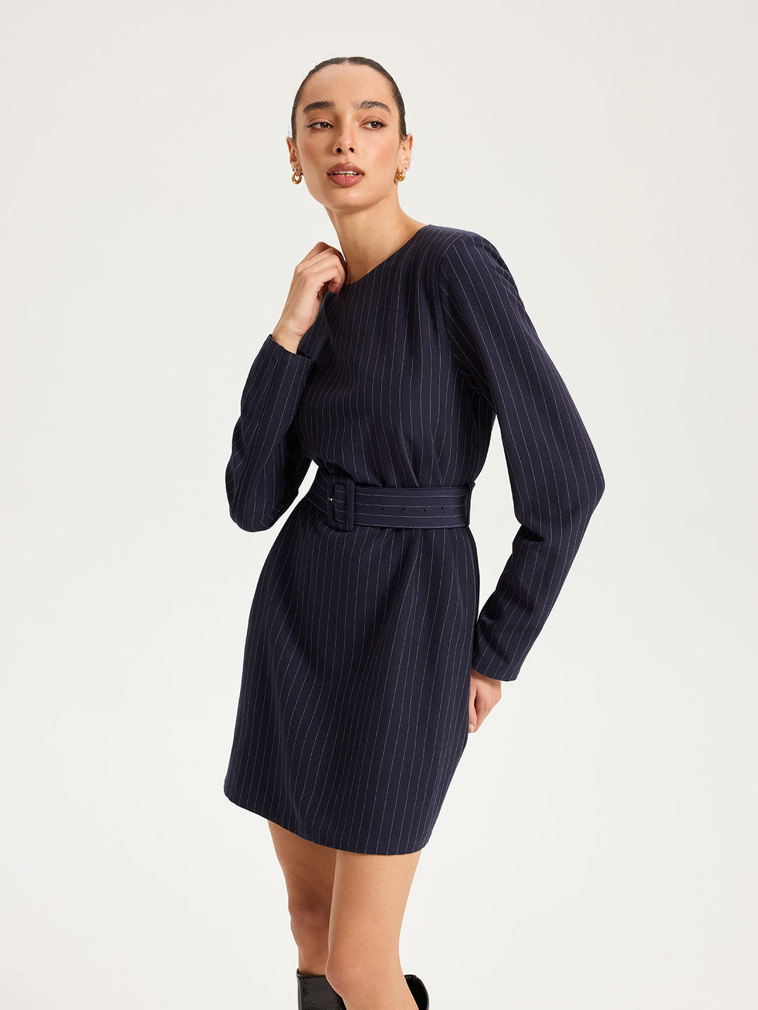 Long Sleeve Pinstripe Belted Mini Dress
